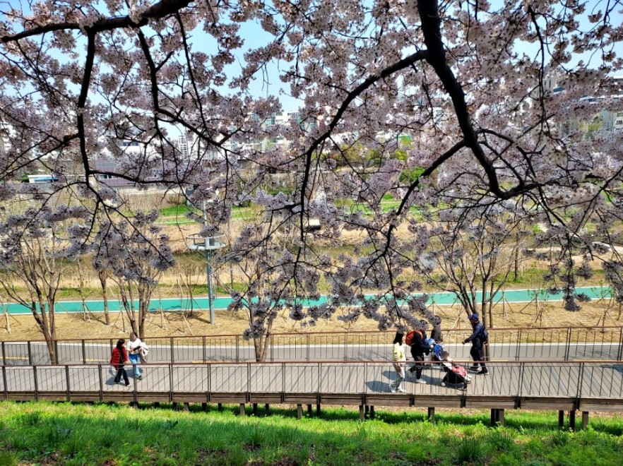 도림천 산책로 전경 2